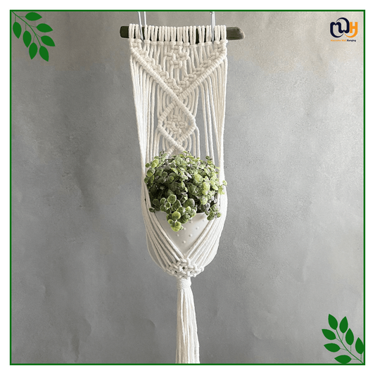 Handmade Boho Style Single Macrame Plant Hanger